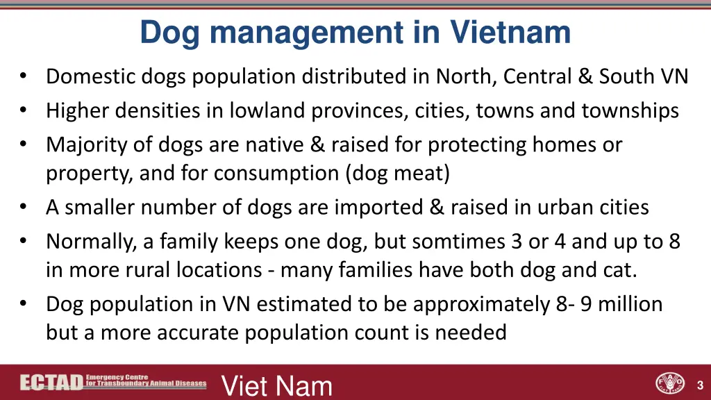 dog management in vietnam domestic dogs