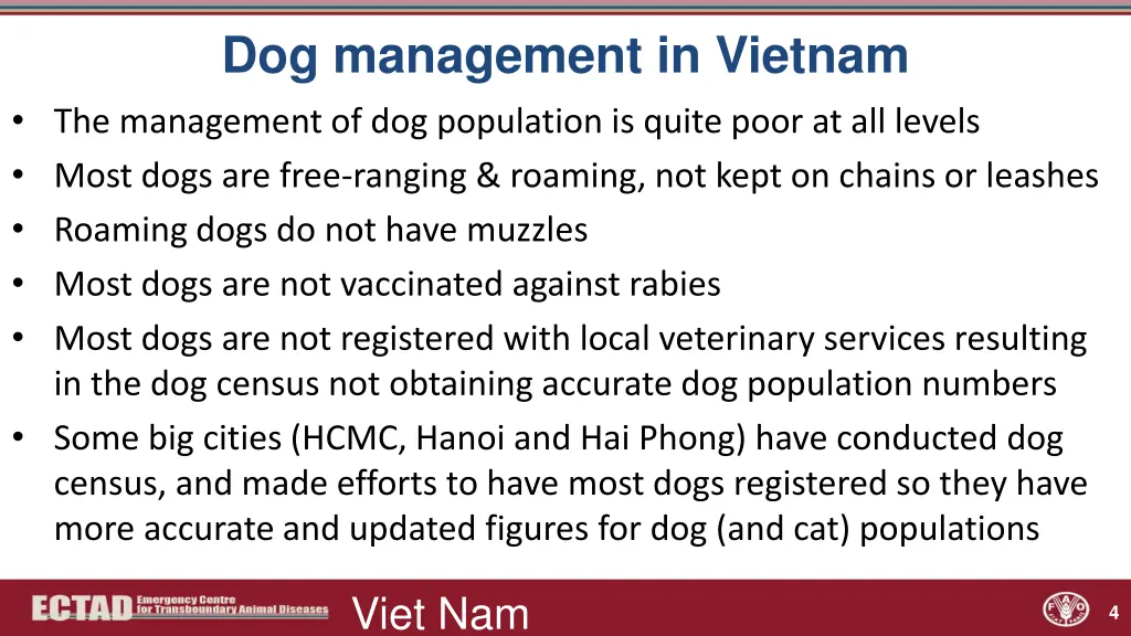 dog management in vietnam the management