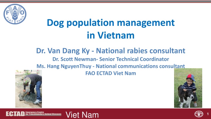 dog population management in vietnam