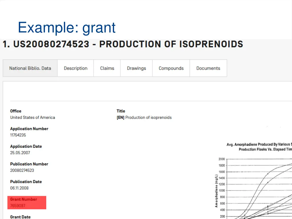 example grant