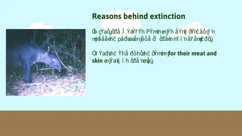 reasons behind extinction 1