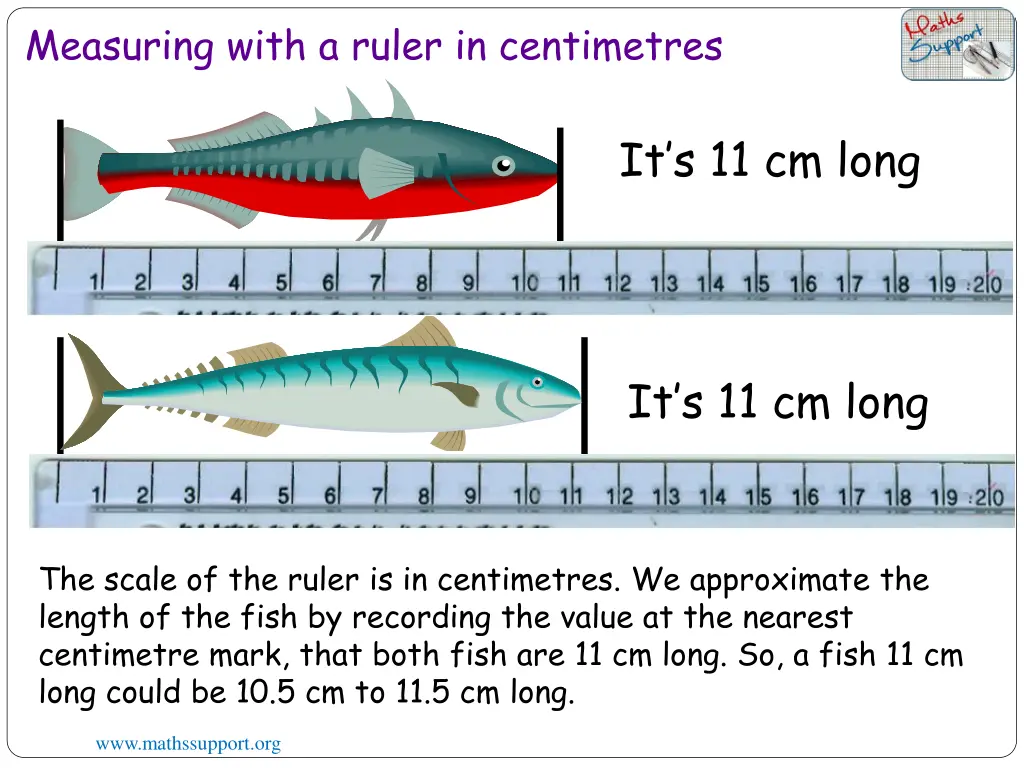 measuring with a ruler in centimetres