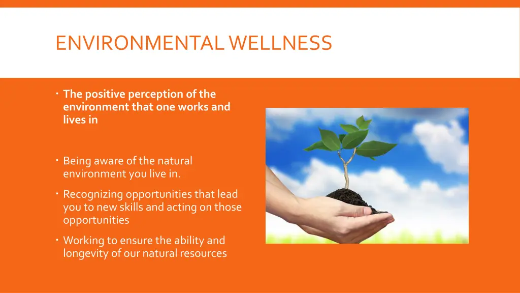 environmental wellness