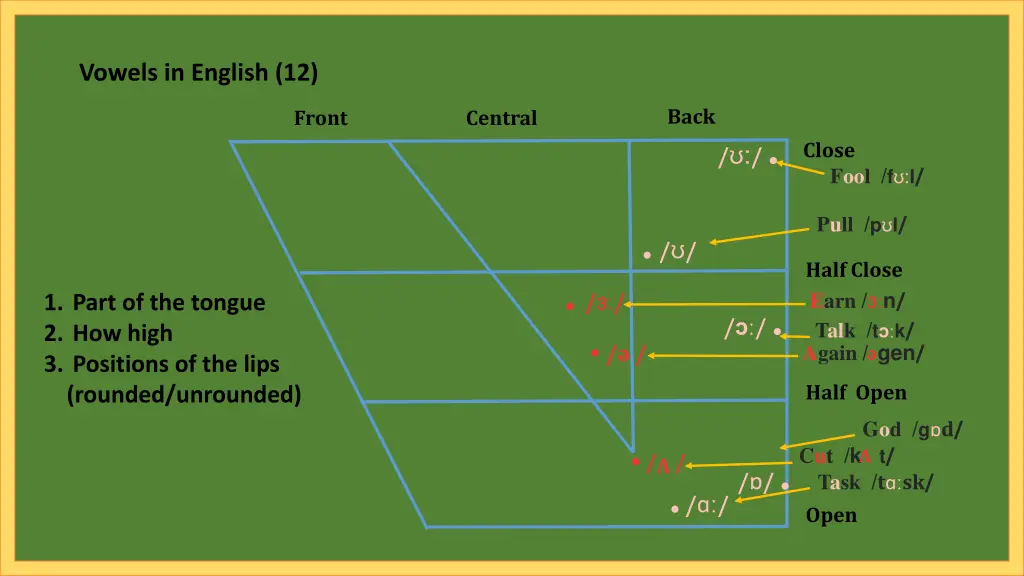 vowels in english 12 2