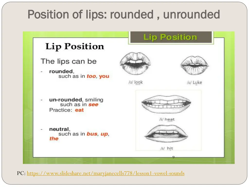 position of lips rounded unrounded position