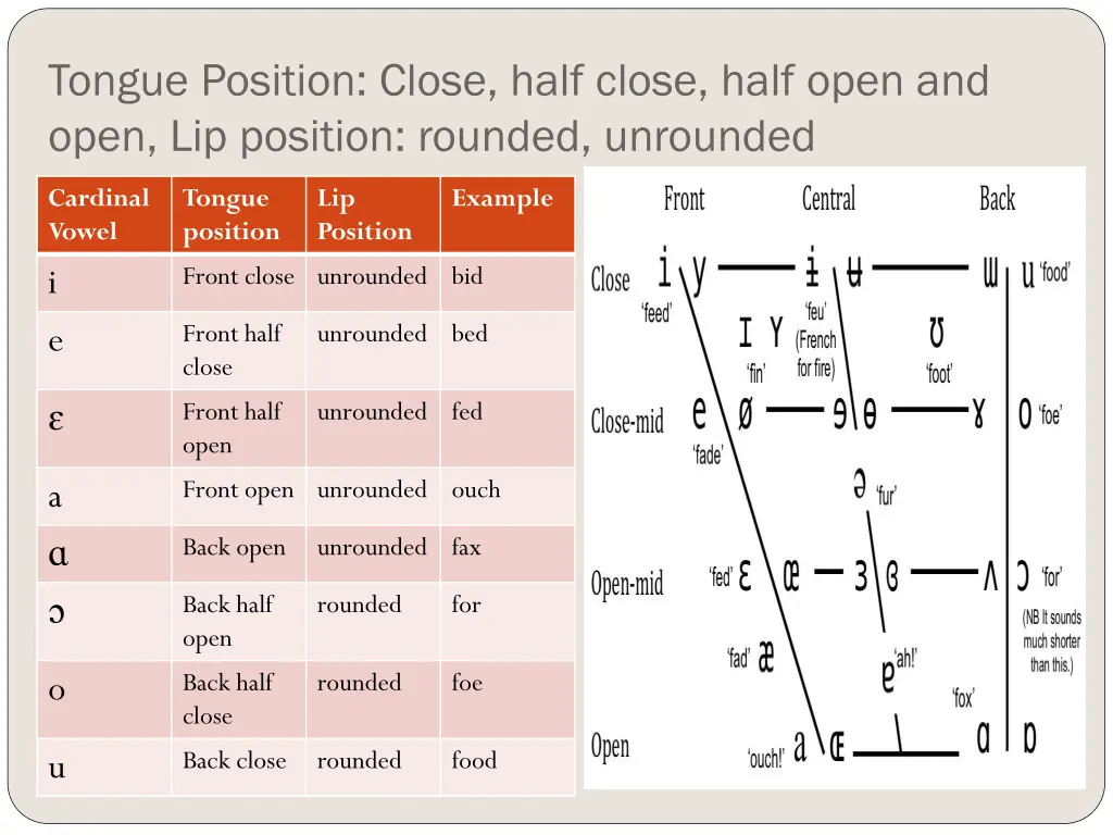 tongue position close half close half open