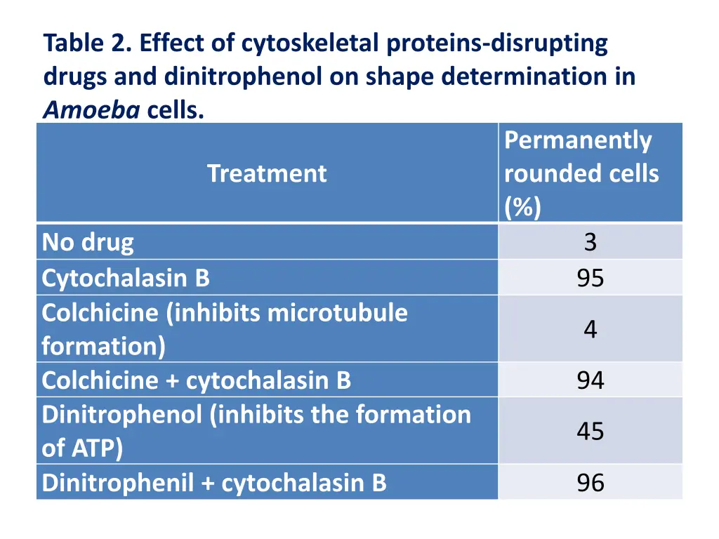 table 2 effect of cytoskeletal proteins