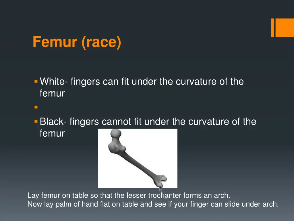 femur race