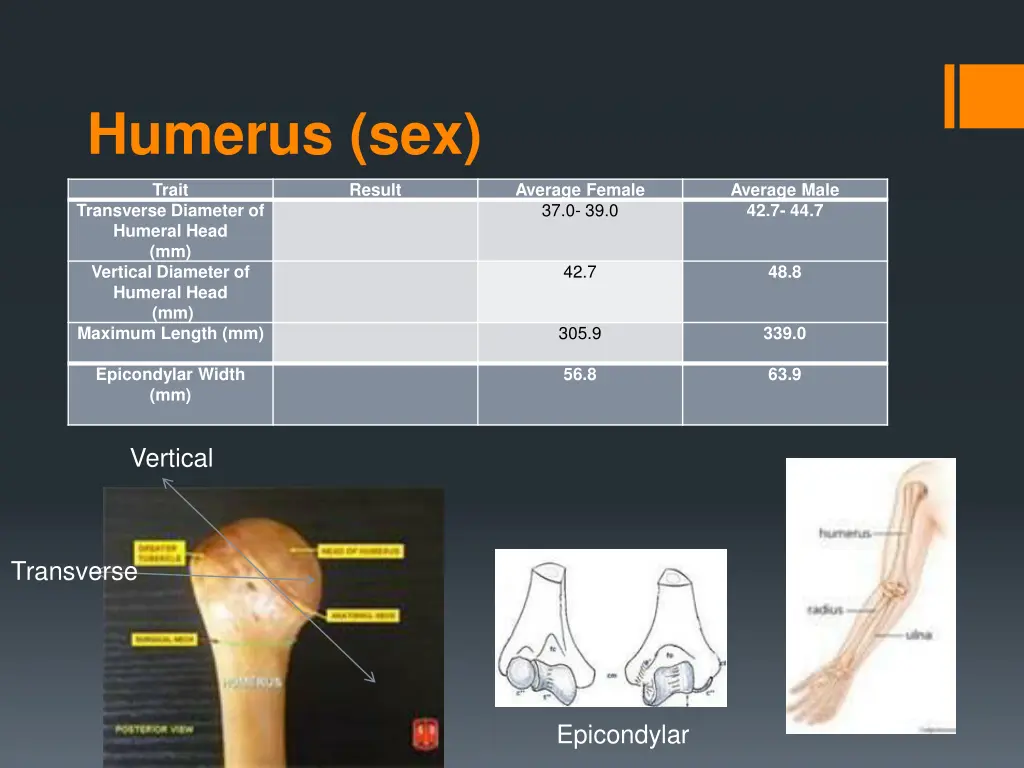 humerus sex