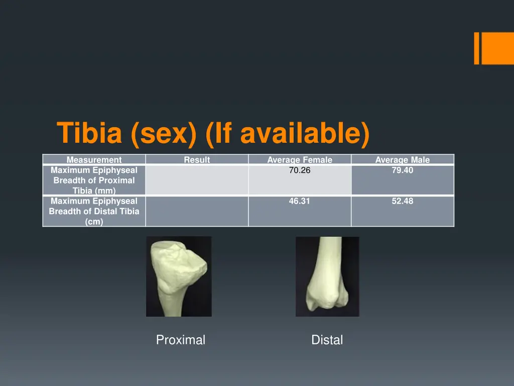 tibia sex if available