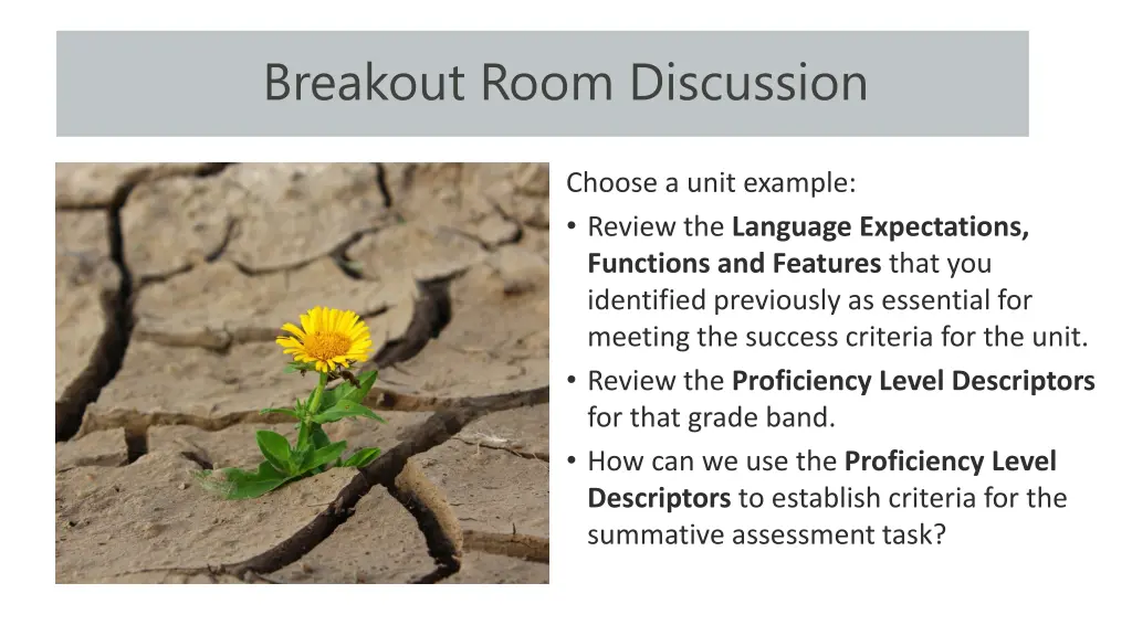 breakout room discussion 1