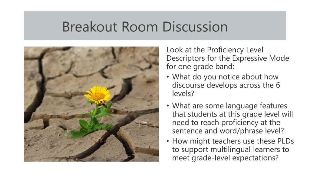 breakout room discussion