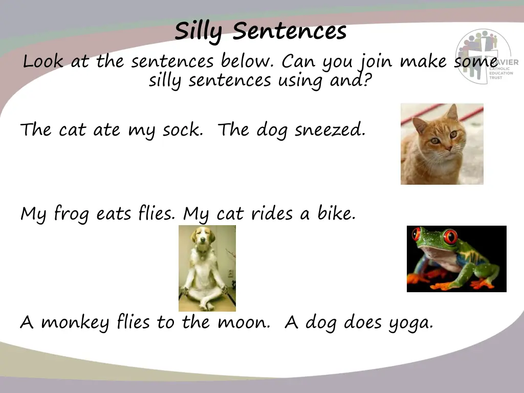 silly sentences