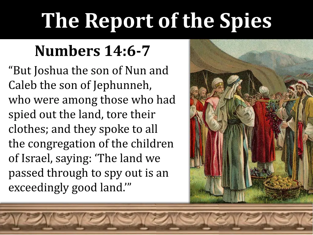 the report of the spies 11