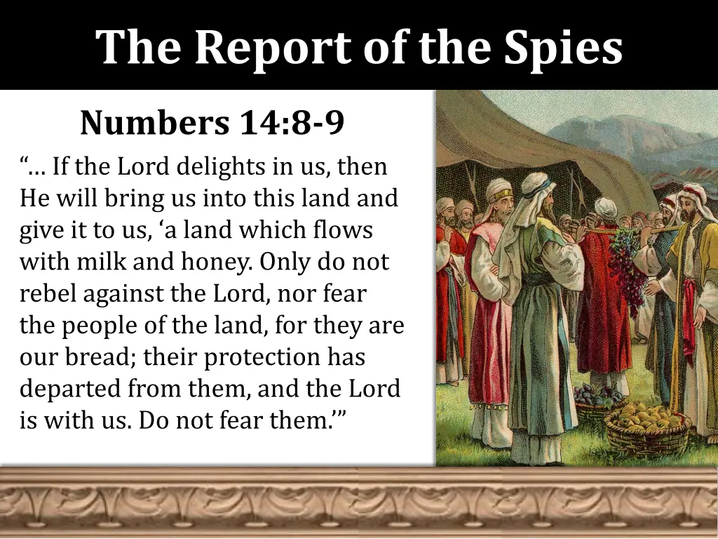 the report of the spies 12