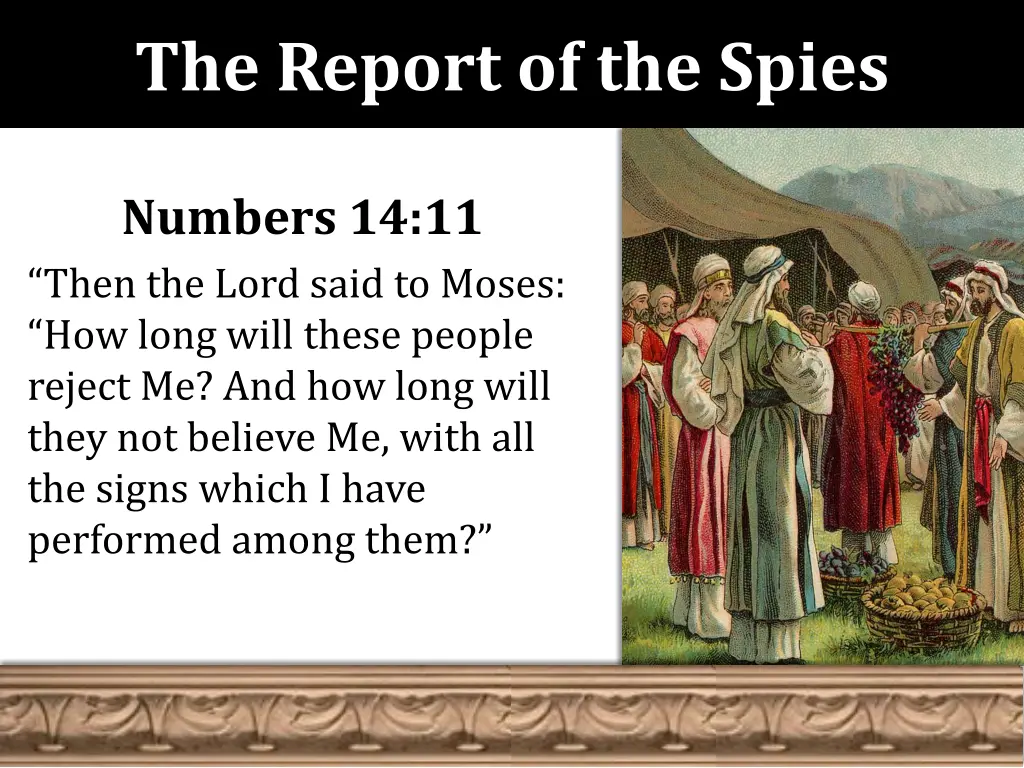 the report of the spies 14