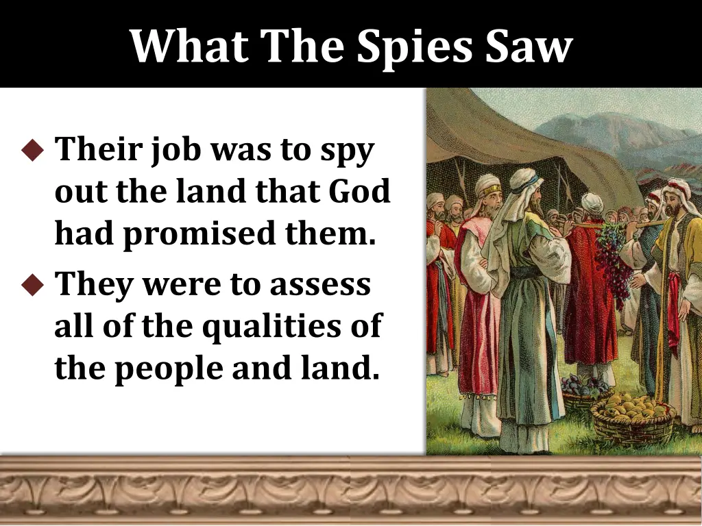 what the spies saw 6