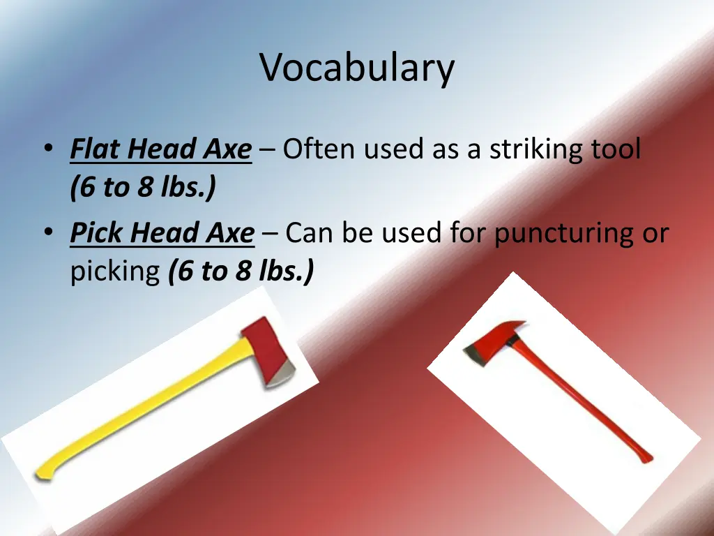 vocabulary 5