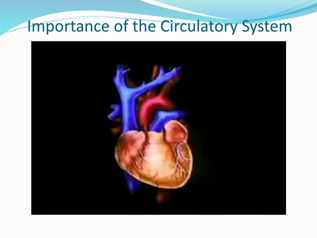 importance of the circulatory system