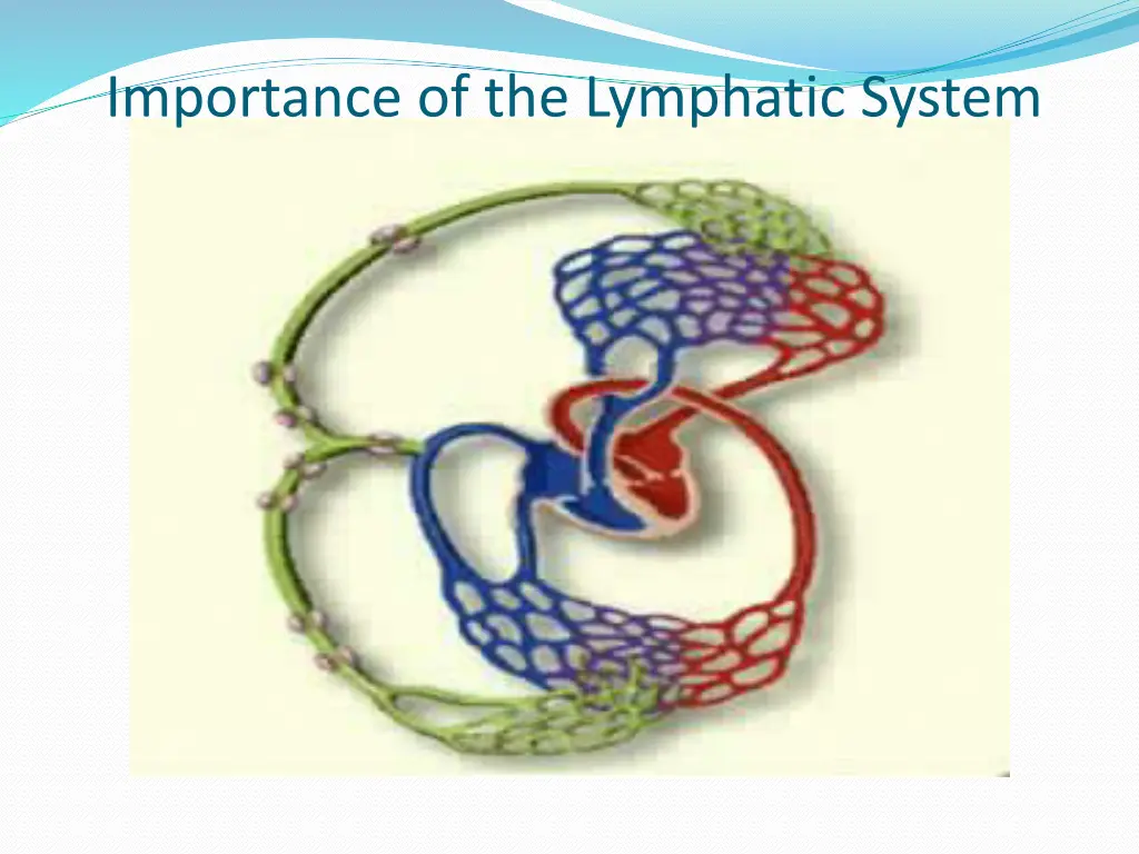 importance of the lymphatic system