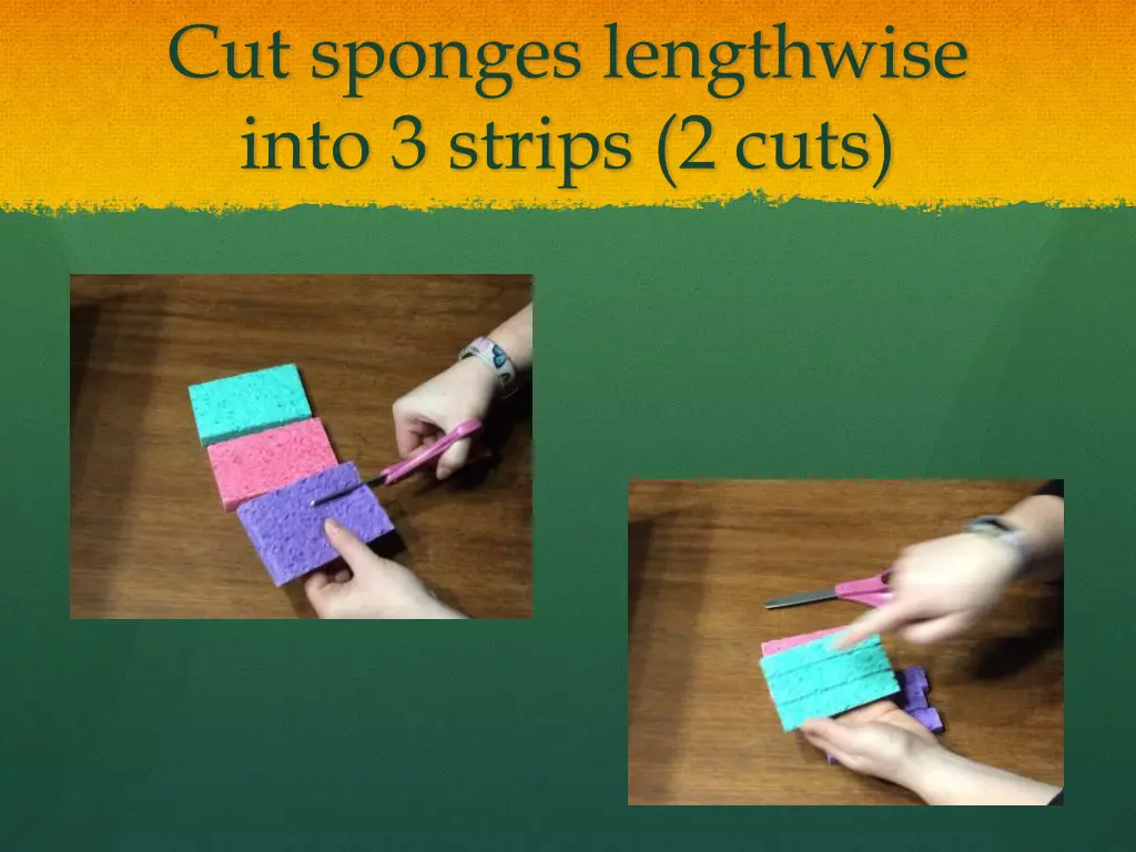 cut sponges lengthwise into 3 strips 2 cuts