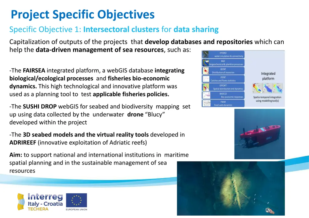 project specific objectives specific objective