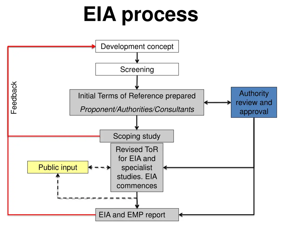 eia process