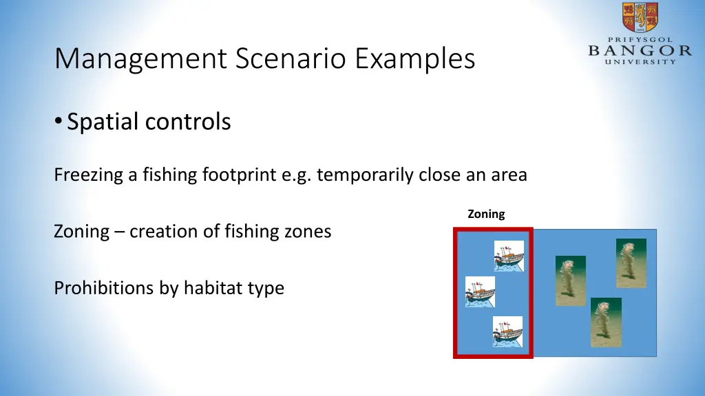 management scenario examples 2