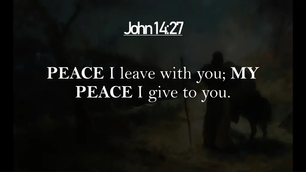 john 14 27