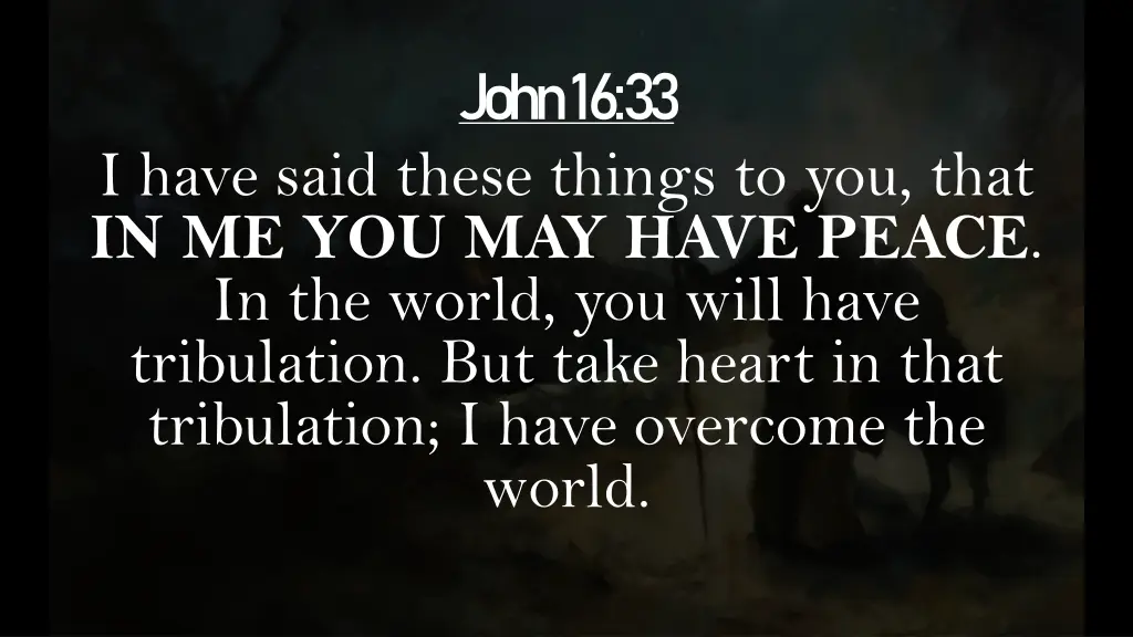 john 16 33