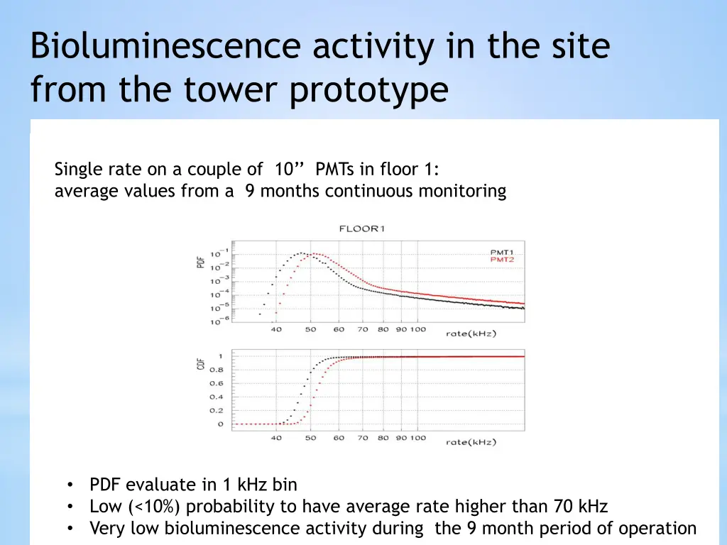 bioluminescence activity in the site from