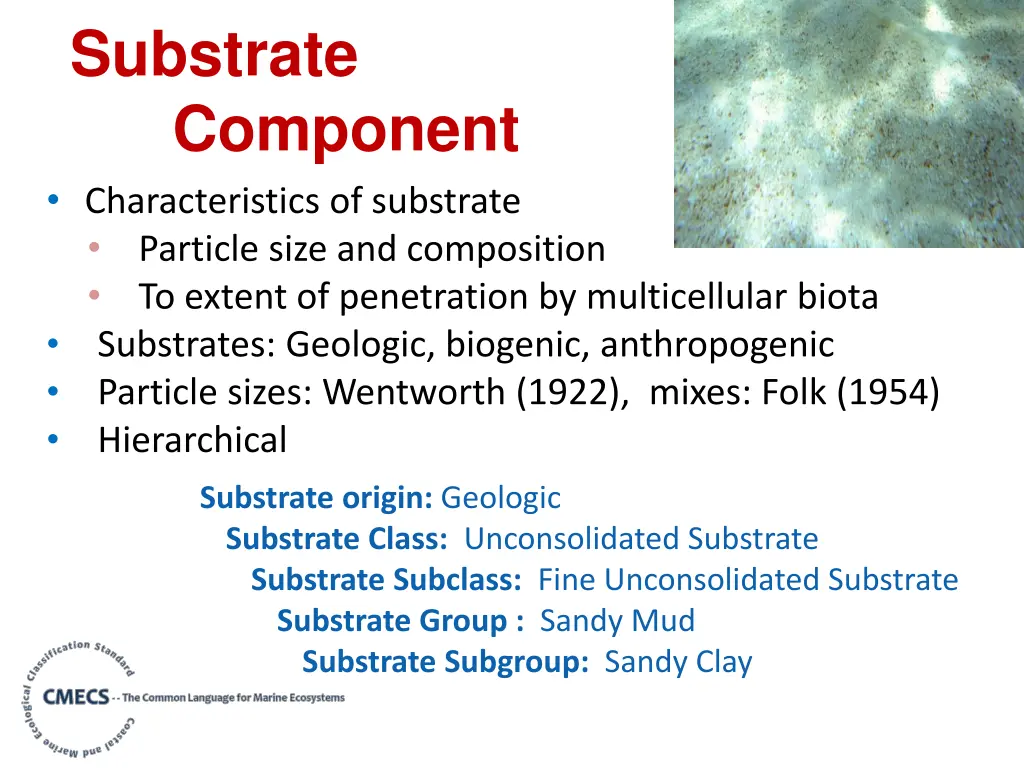 substrate component characteristics of substrate