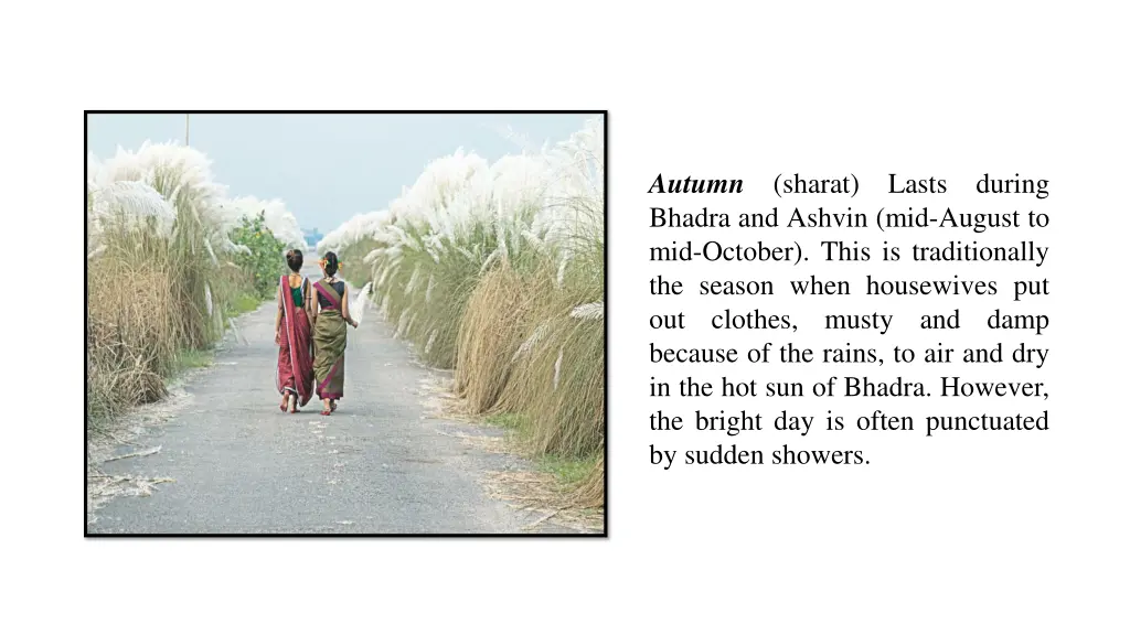 autumn bhadra and ashvin mid august