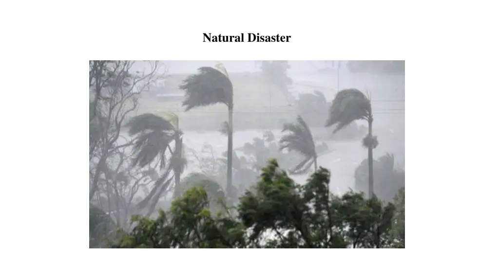 natural disaster