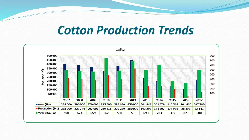 cotton production trends