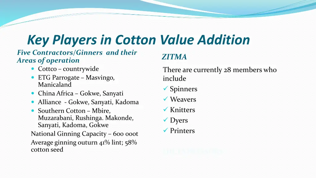 key players in cotton value addition five