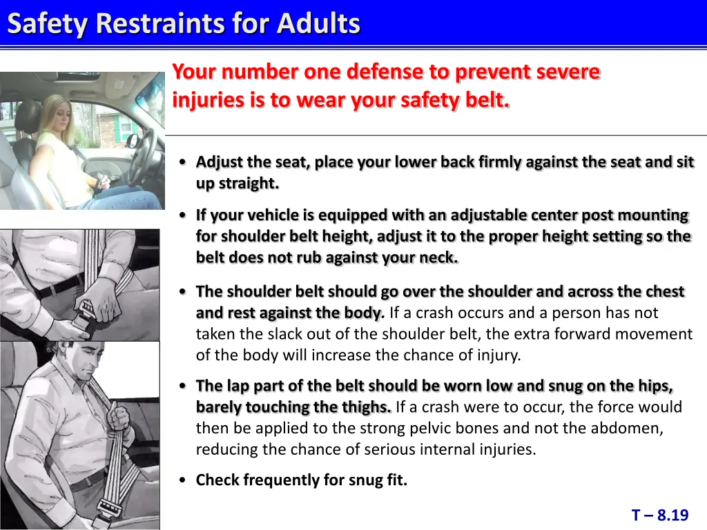 safety restraints for adults