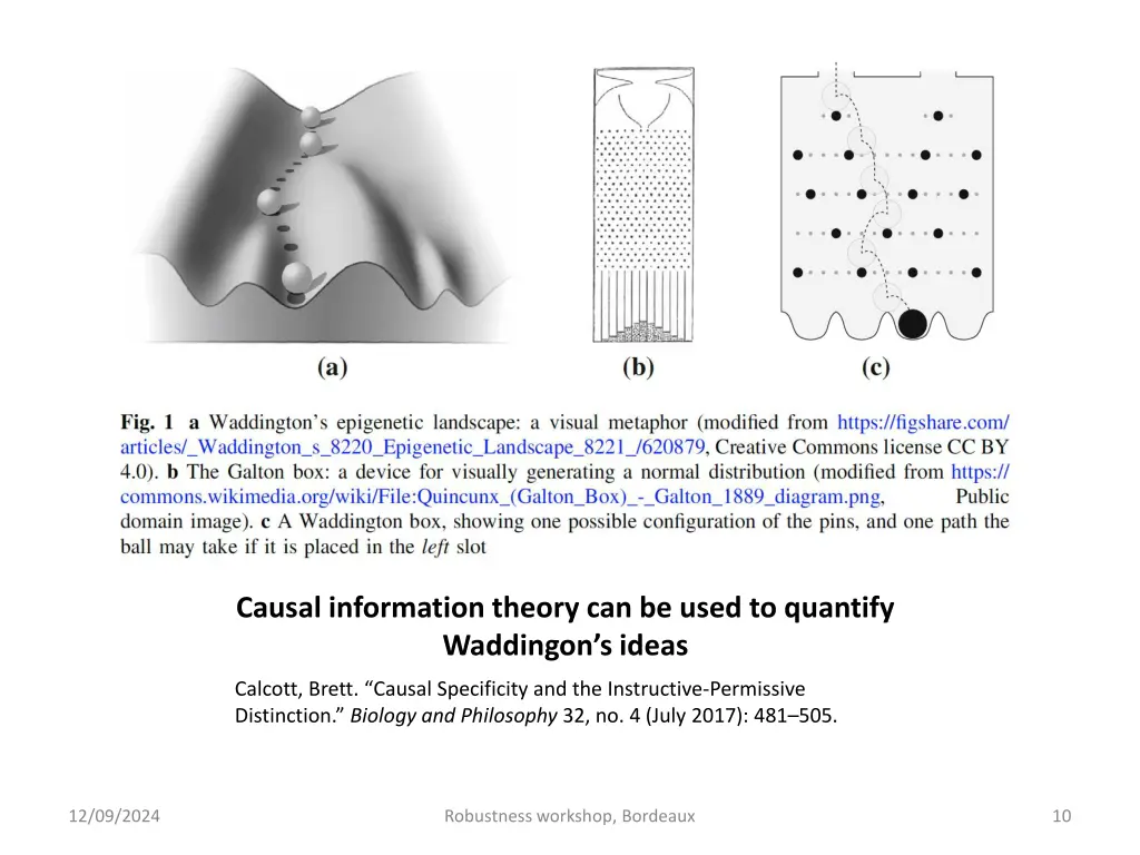 causal information theory can be used to quantify