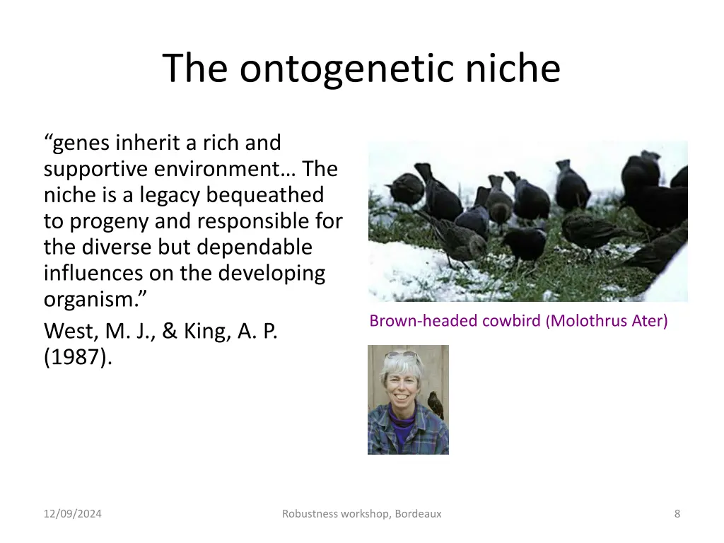 the ontogenetic niche