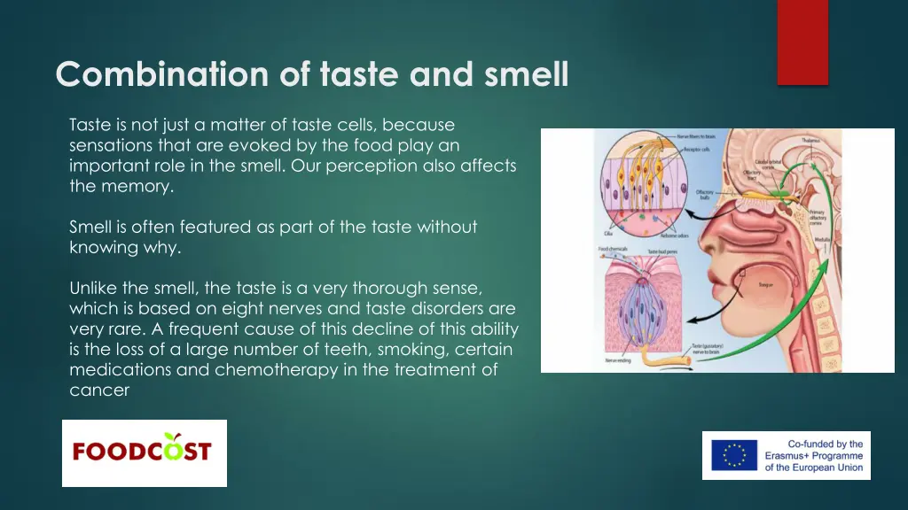 combination of taste and smell