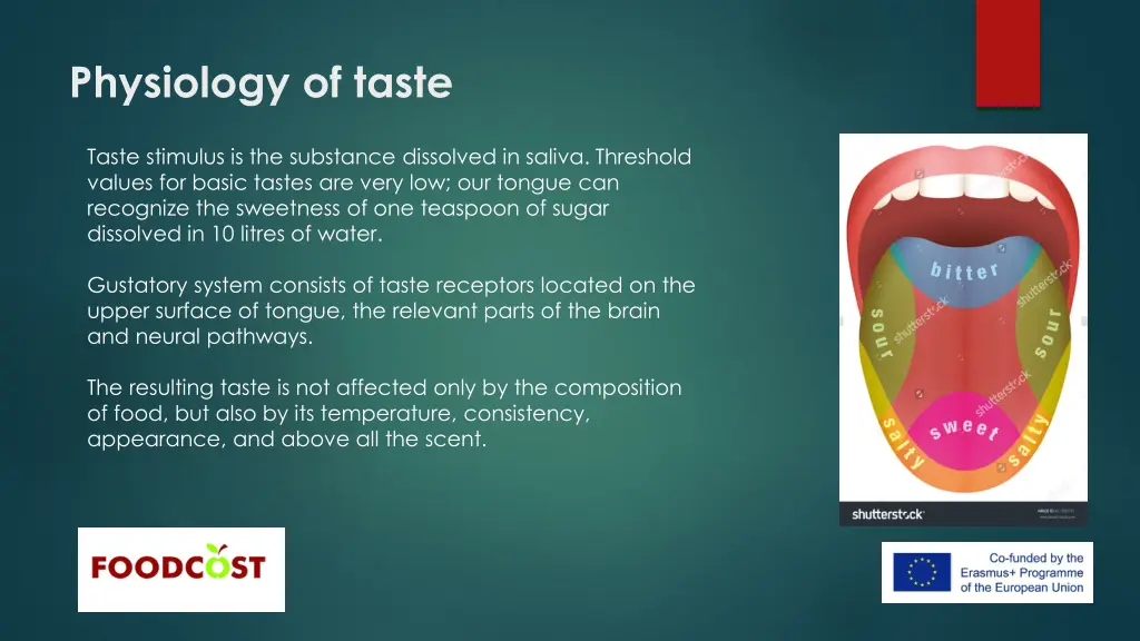 physiology of taste 1