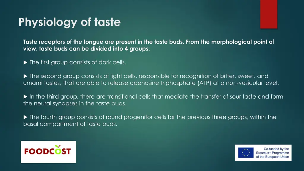 physiology of taste 2