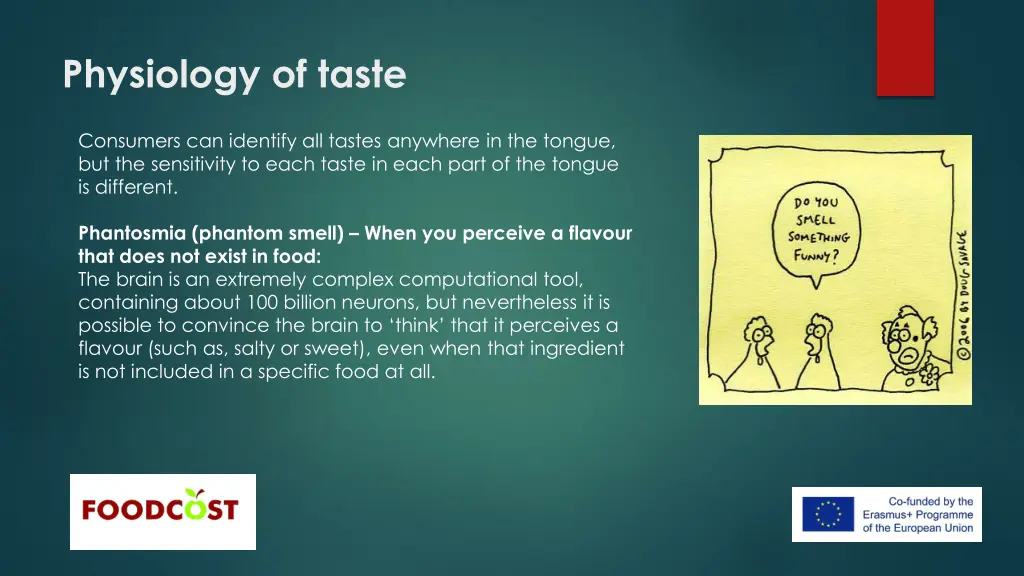 physiology of taste