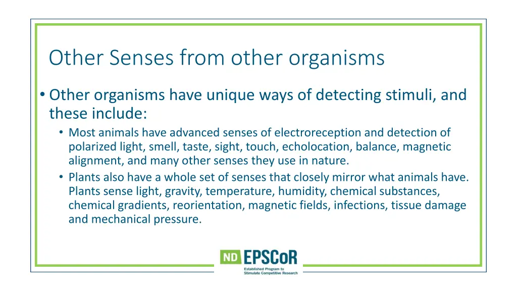 other senses from other organisms