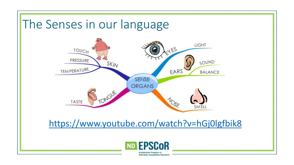 the senses in our language