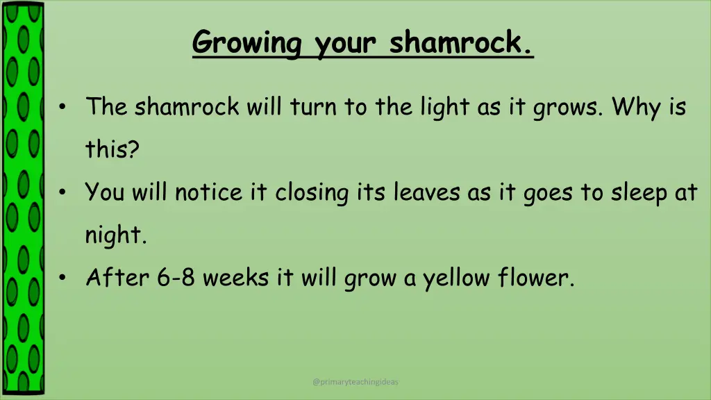 growing your shamrock 1