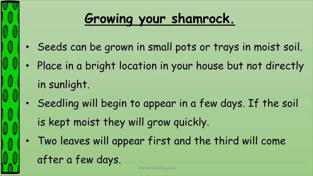 growing your shamrock