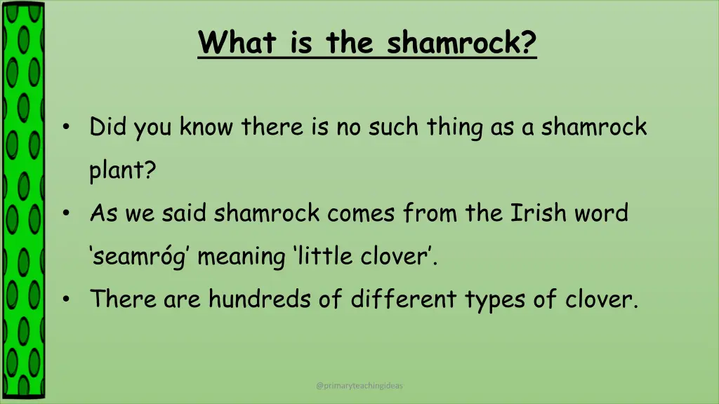 what is the shamrock