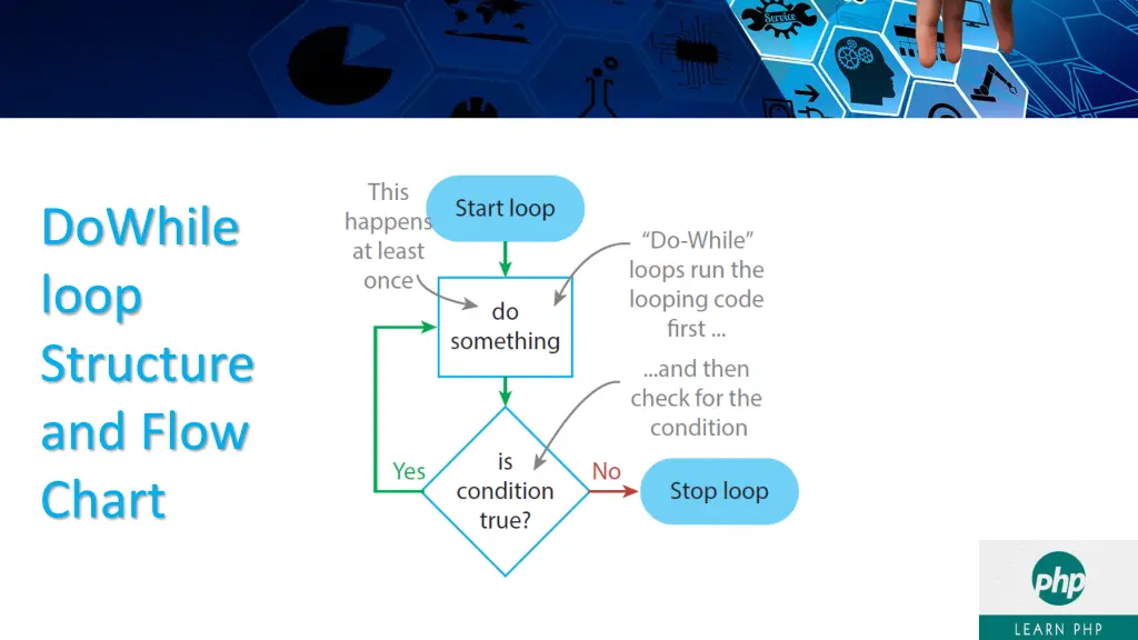 dowhile loop structure and flow chart