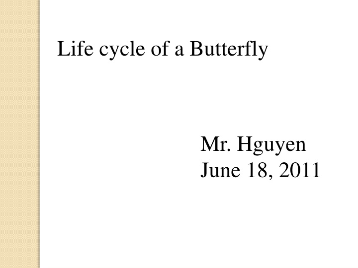 life cycle of a butterfly